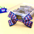 Ribbon Bow-Ribbon Bow 10 Pcs Pack Readymade Blue Maroon Gift Warpping-Littl