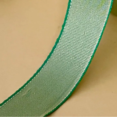 ribbon-Green-1 inch color net metallic ribbon-Littl Ribbons